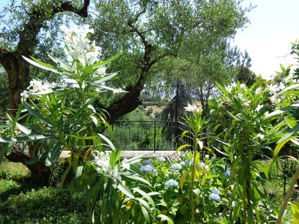 Villa Olcimia Capena Room photo